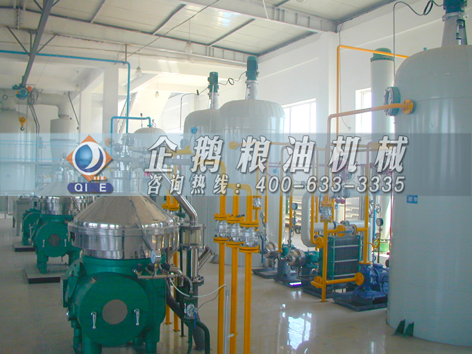如何投資建設(shè)棕櫚油加工廠？企鵝糧油機械在線為您答疑解惑(圖2)