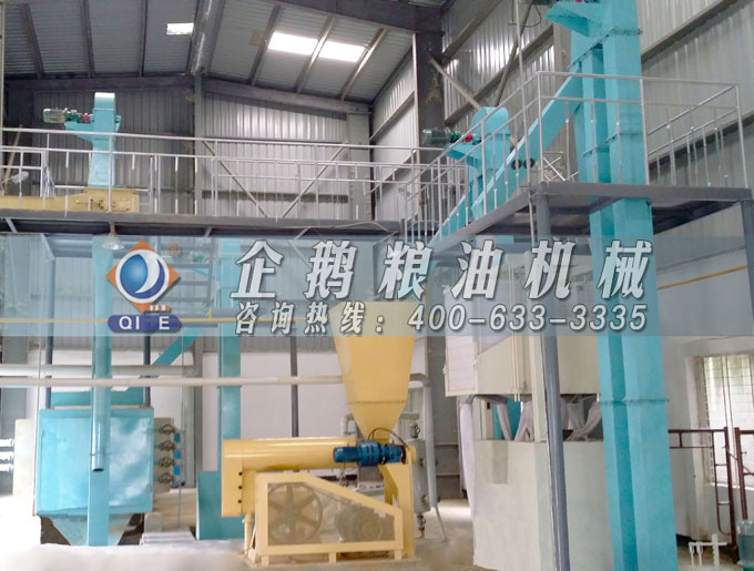 如何投資建設(shè)棕櫚油加工廠？企鵝糧油機械在線為您答疑解惑(圖4)