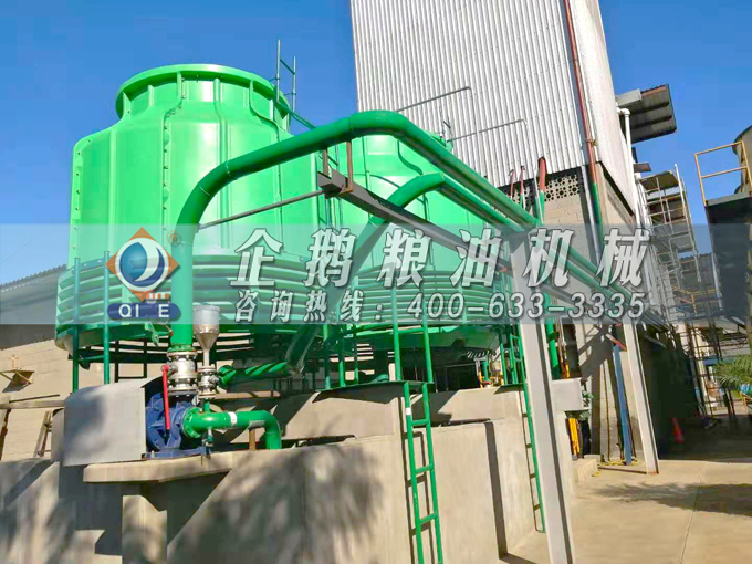 如何投資建設(shè)棕櫚油加工廠？企鵝糧油機械在線為您答疑解惑(圖3)