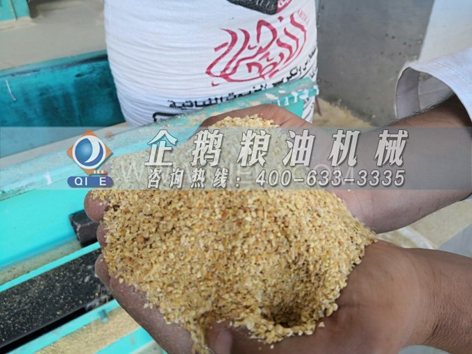 米糠油精煉設備，企鵝機械不斷創(chuàng)新提升工藝效果(圖2)